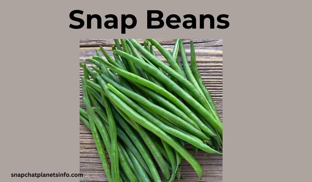 Snap Beans