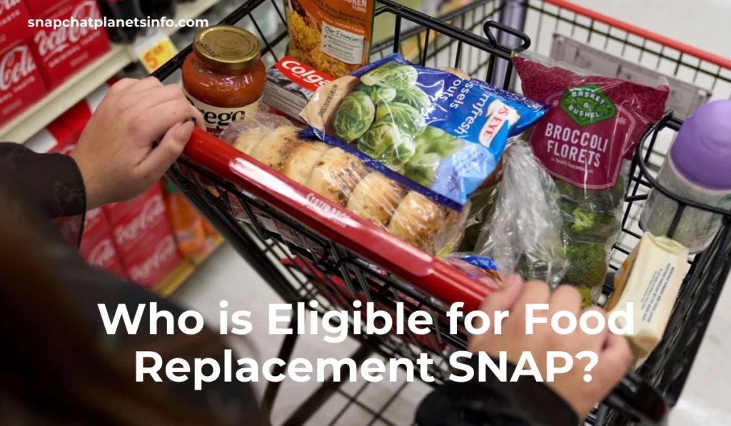 Food Replacement Snap
