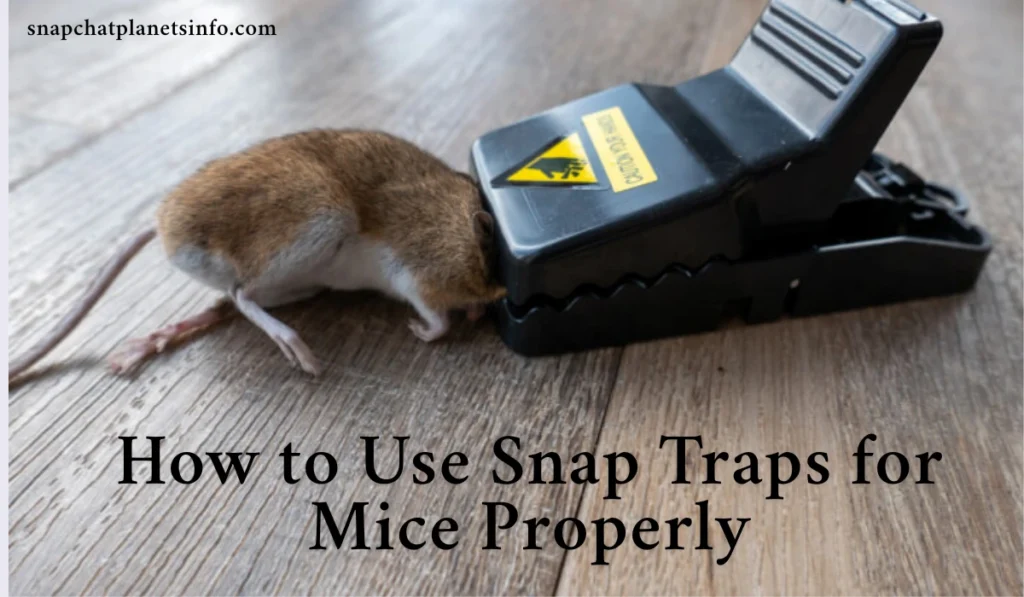 Snap Traps for Mice