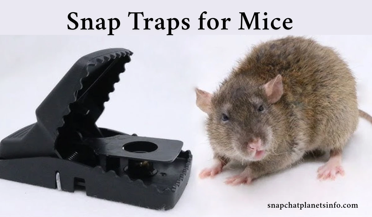 Snap Traps for Mice